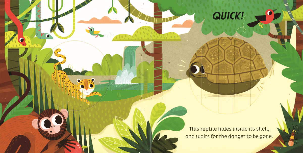 Magic Window: In the Jungle