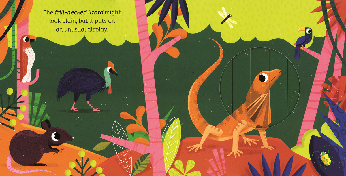 Magic Window: In the Jungle