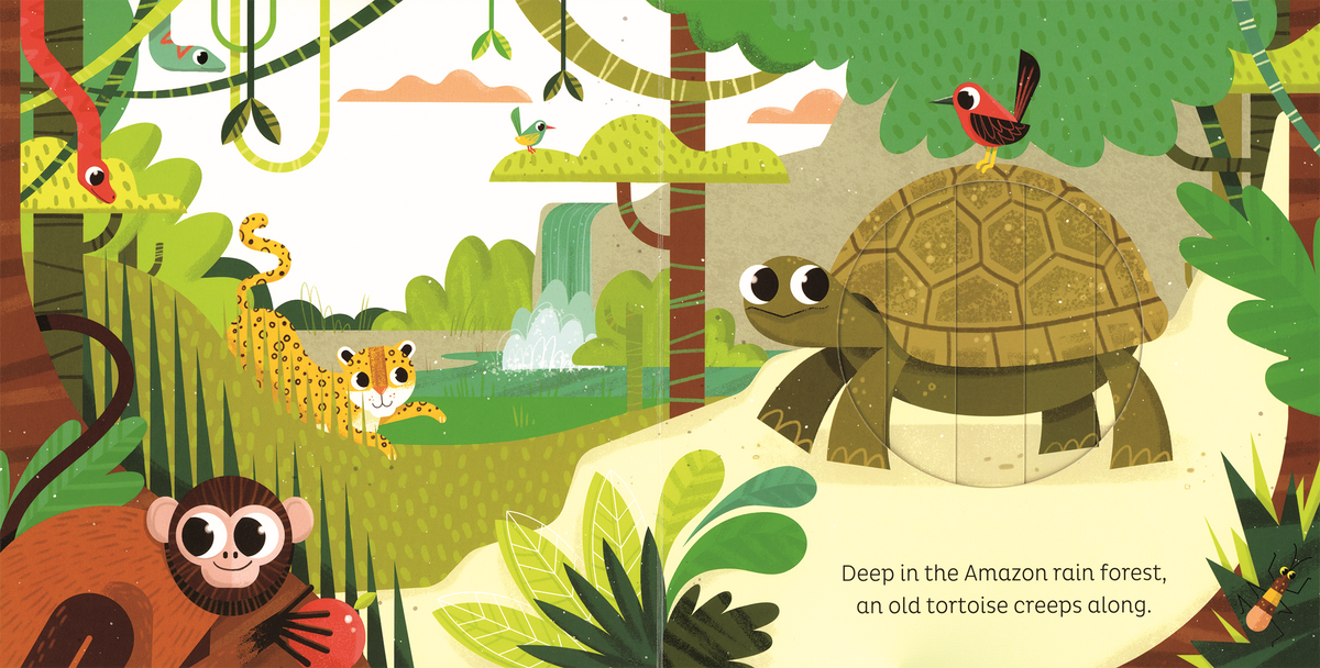 Magic Window: In the Jungle
