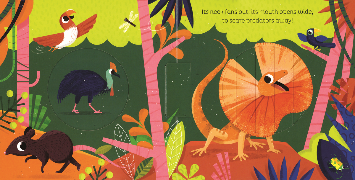 Magic Window: In the Jungle